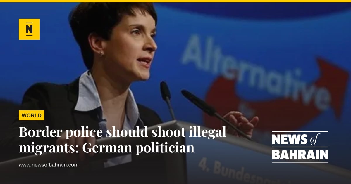 Border police should shoot illegal migrants: German politician | News ...