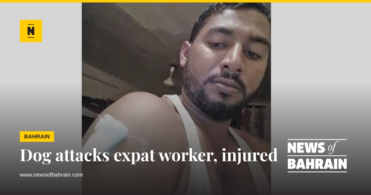Dog attacks expat worker, injured | News of Bahrain