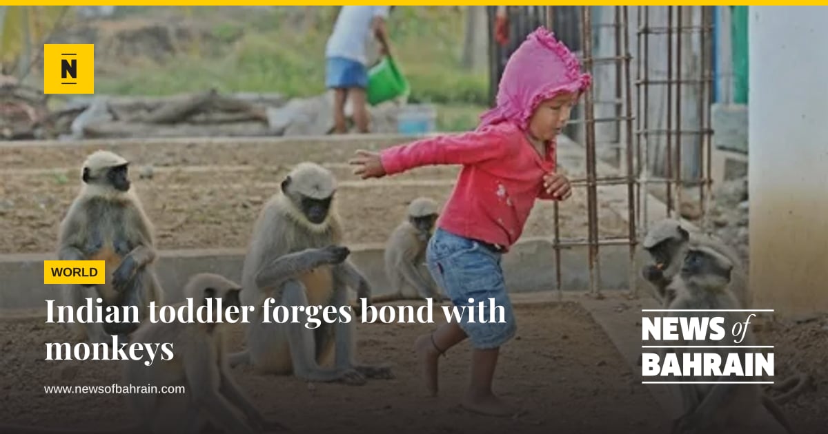Indian toddler forges bond with monkeys | News of Bahrain