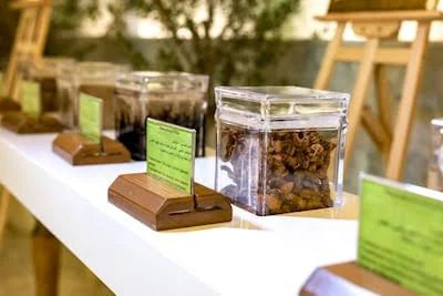 UAE Sets New Standards for Traditional Medicine | News of Bahrain