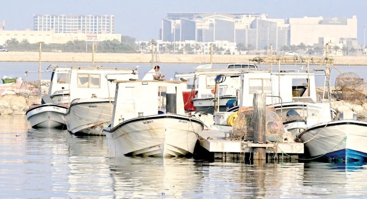Solar cameras urged after Raya Port thefts | News of Bahrain