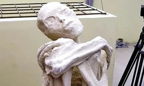 Nazca remains are ‘alien mummies’, says scientist | News of Bahrain
